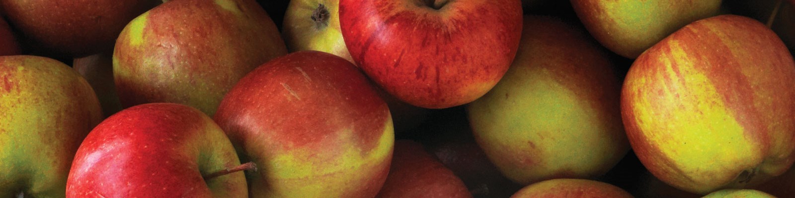 Billede af menuen fra Aarstiderne